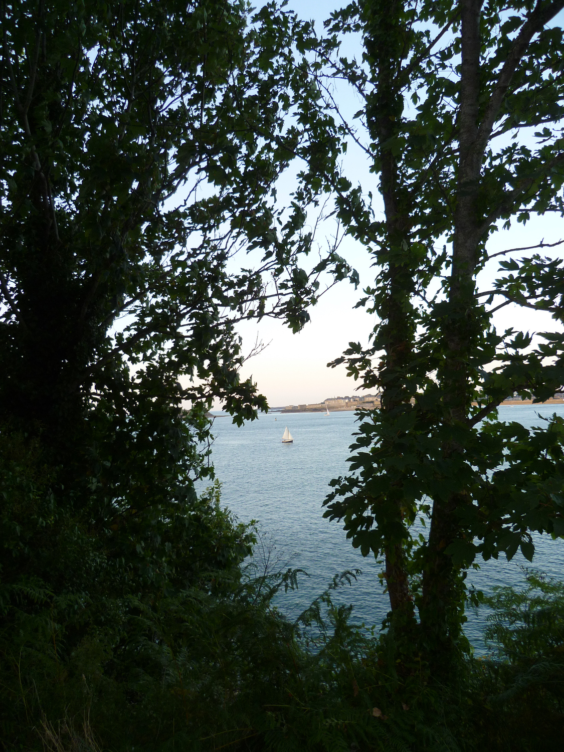 excursion bateau dinard